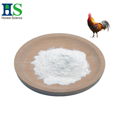 Chrupawica piersi kurczaka Kolagen Ii Powder 40 Mesh 80 Mesh